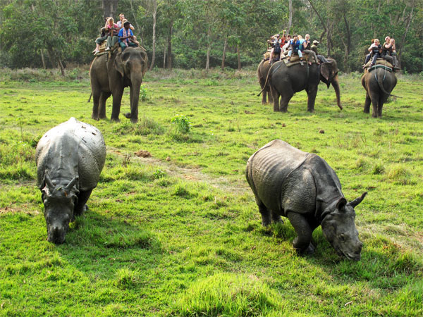 Nepal Flora & Fauna with Adventure — Chitwan National Park