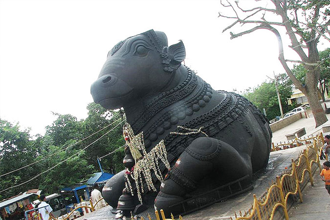 Wayanad Short Trip — Bengaluru