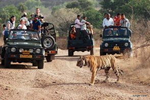 Jewels of Rajasthan with Wildlife — Ranthambore